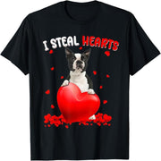 Boston Terrier, I Stole My Heart, Cute Valentine's Day Ladies T-Shirt