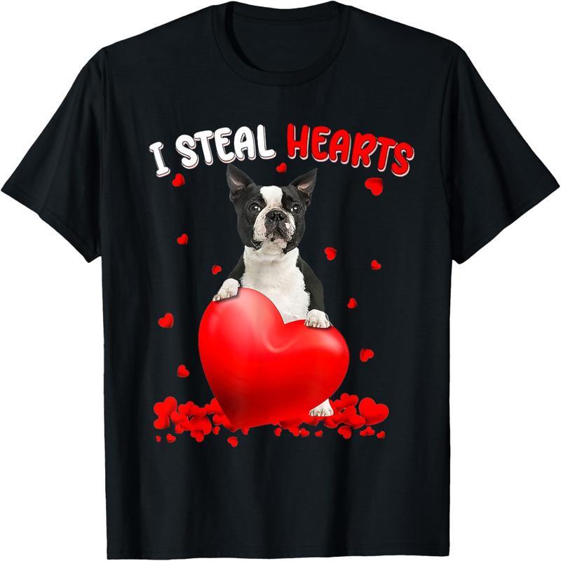 Boston Terrier, I Stole My Heart, Cute Valentine's Day Ladies T-Shirt